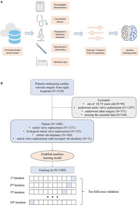 Machine Learning for the Prediction of Complications in Patients After Mitral Valve Surgery